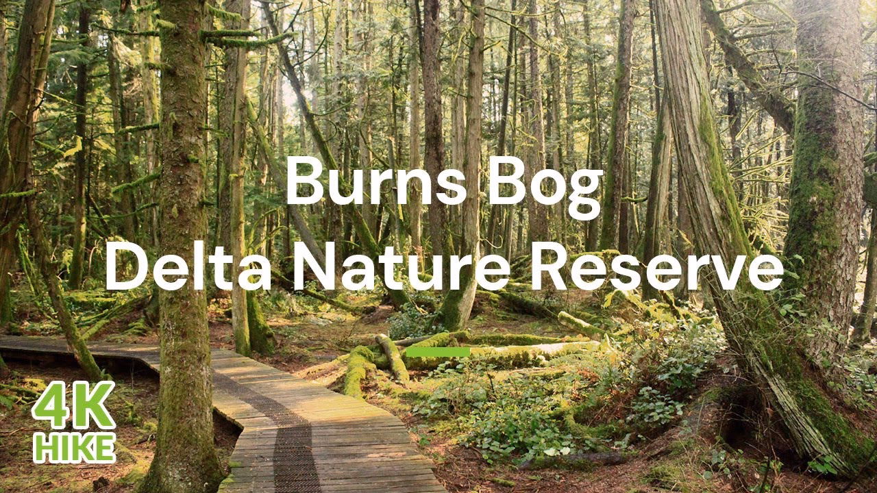 Is LATAM a partner with Delta?