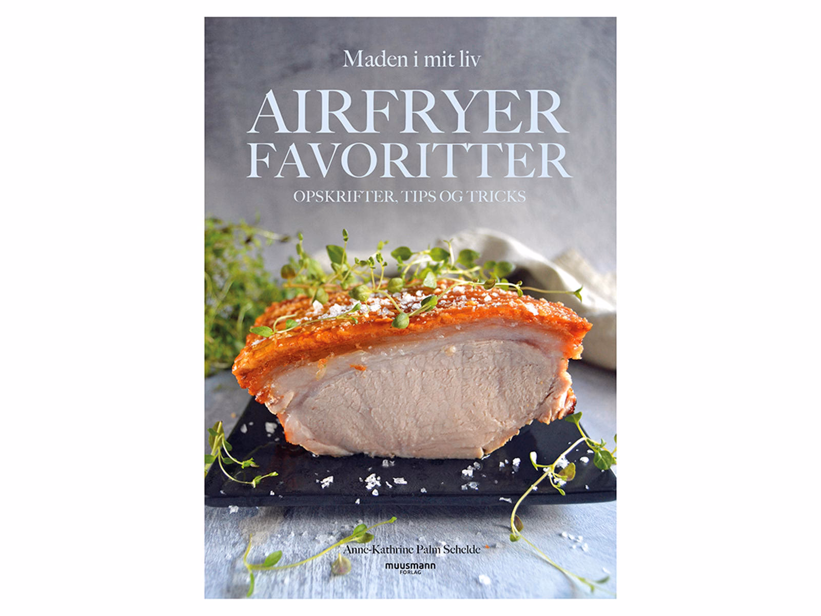 Hvad kan man lave i Actifry?