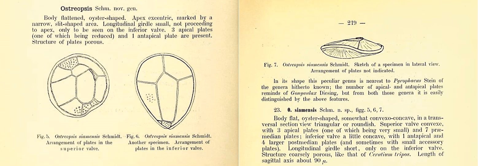 Hvor mange forskellige algeorganismer er der?