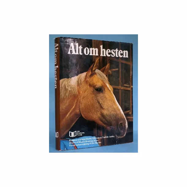 Hvad kan man skrive om heste?