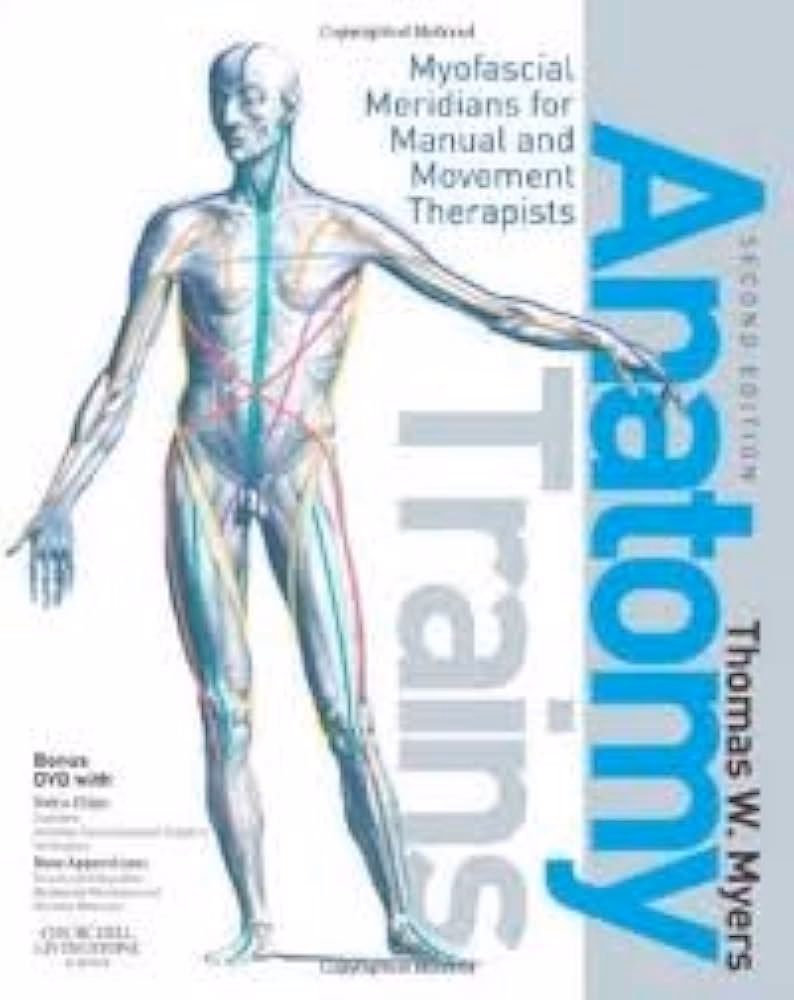 What are the 12 Anatomy Trains?