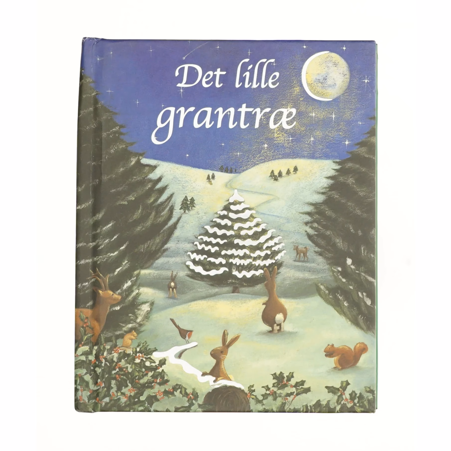 Hvor bor Arne Haugen Sørensen?