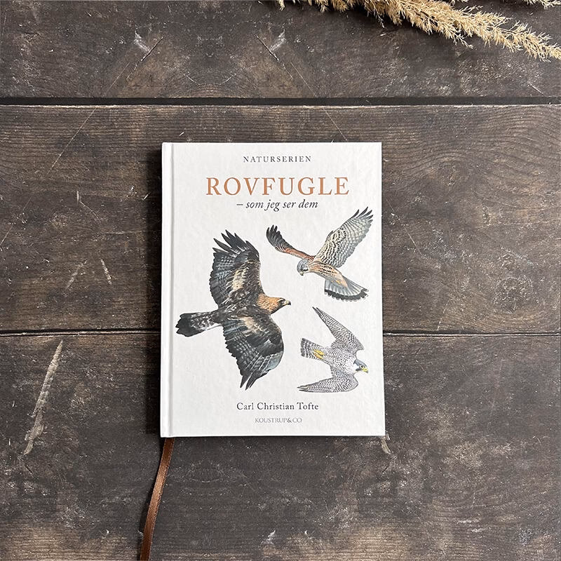 Hvor mange bøger er der i Arnulf sagaen?