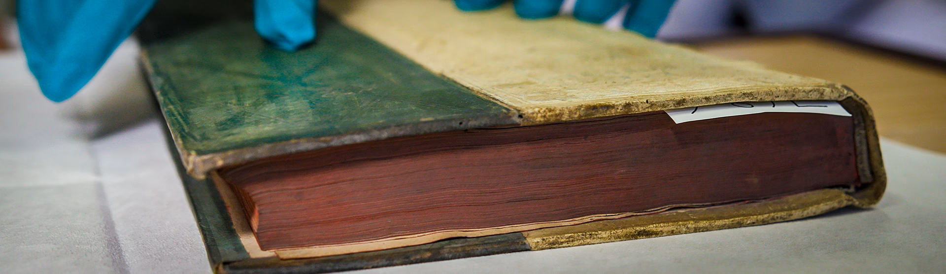 Hvad er hvid arsenik?