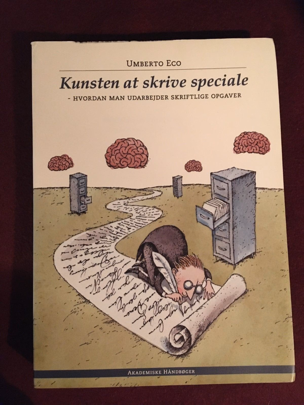 Hvad betyder det at skrive speciale?