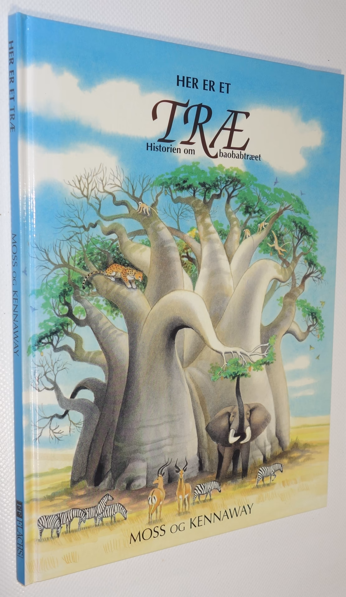 Hvor gammelt kan et baobab træ blive?