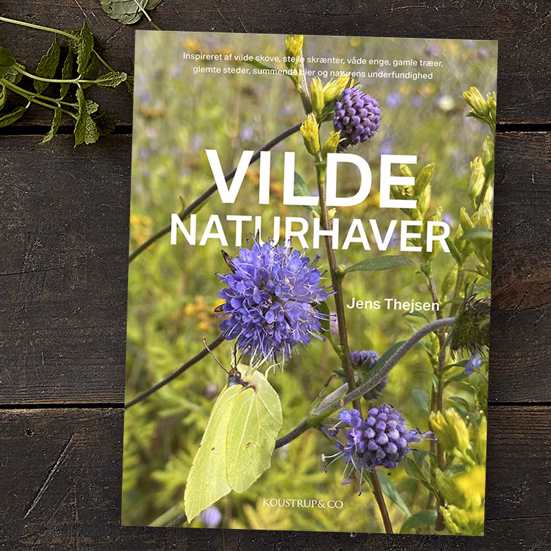 Hvad kan spises i naturen?