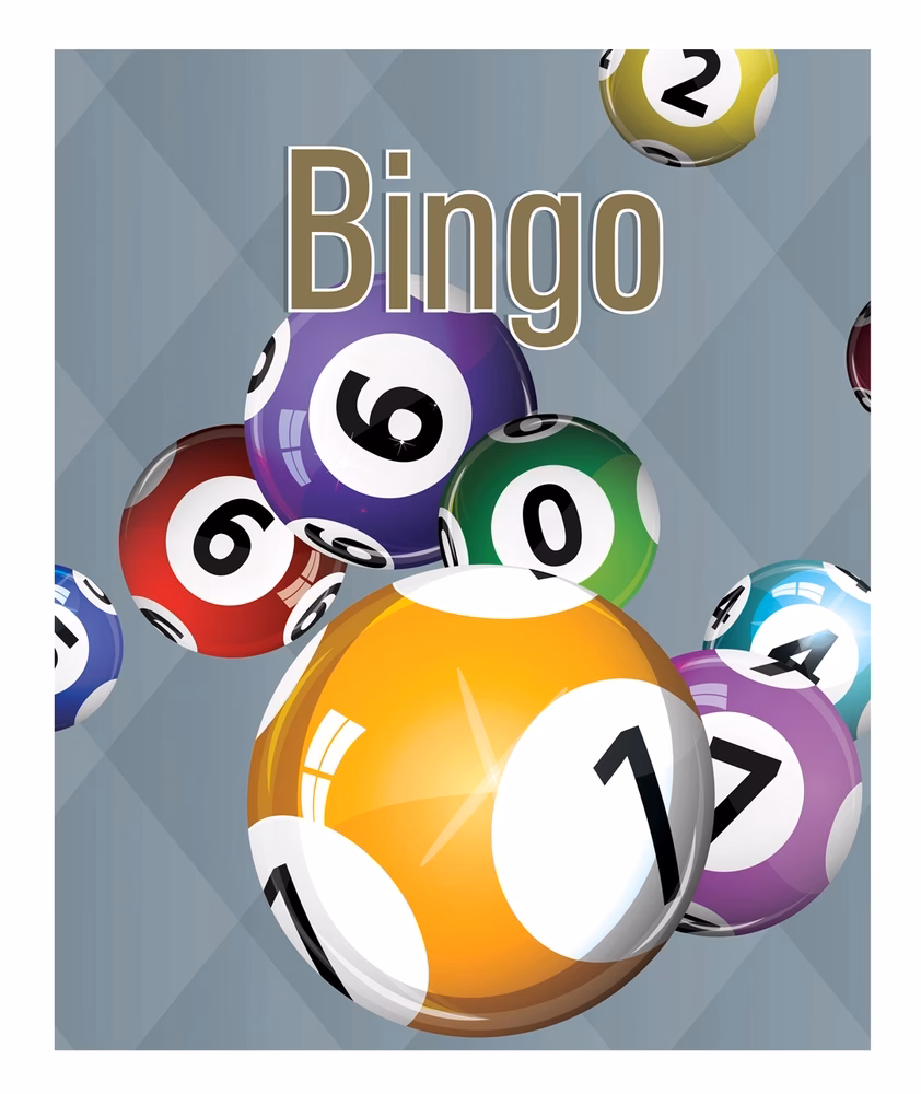 Hvad koster en bingoplade?