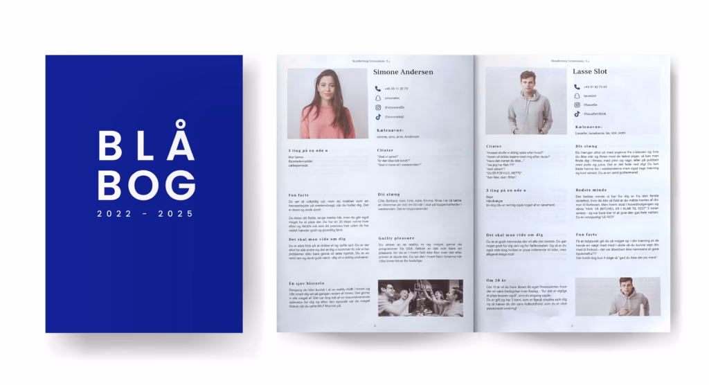 Hvad skal der stå i en blå bog?