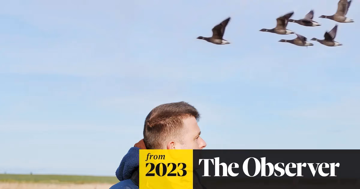 What was the famous quote from American Beauty?