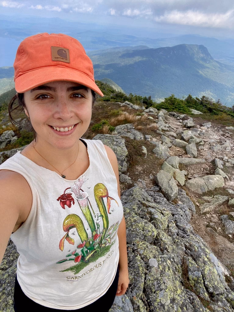 Are lifestyle blogs still a thing?