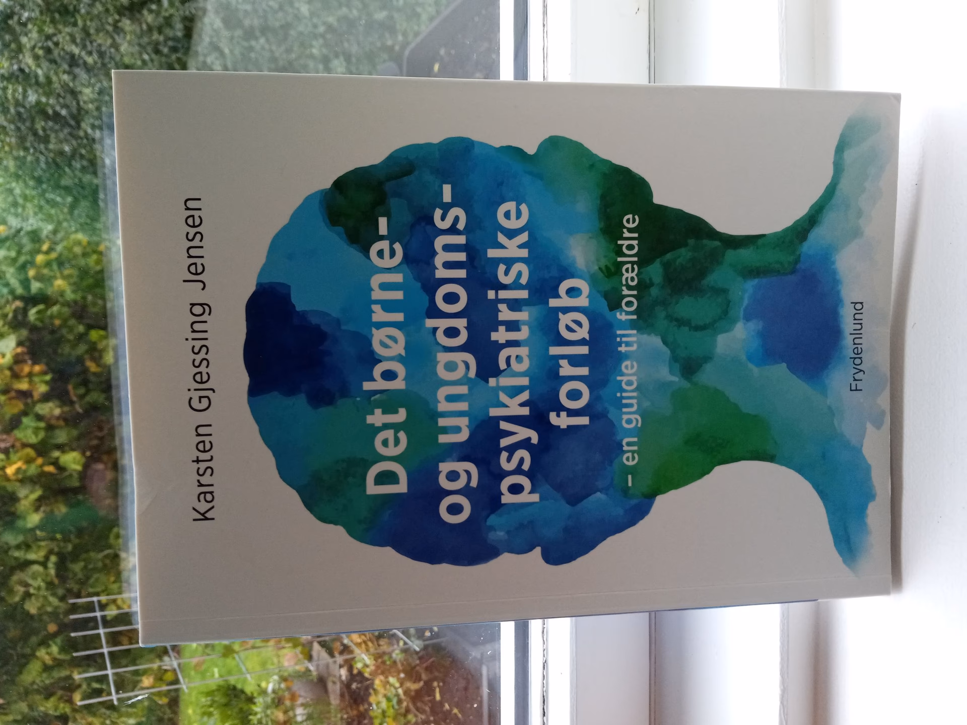 Hvad er en psykologisk undersøgelse?