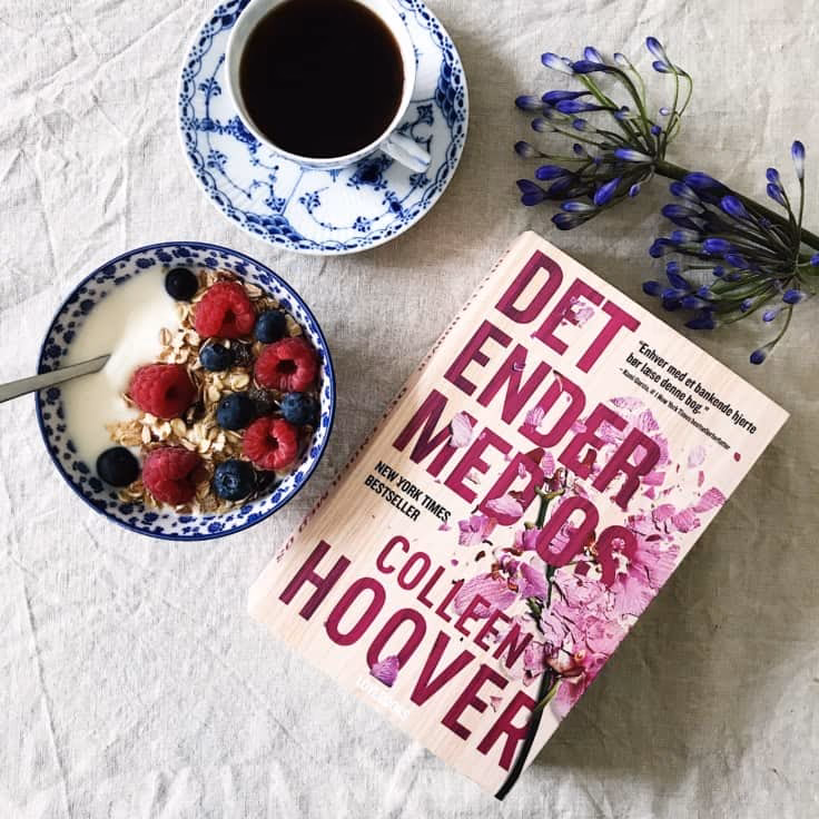 Hvad handler bogen It Ends with Us om?