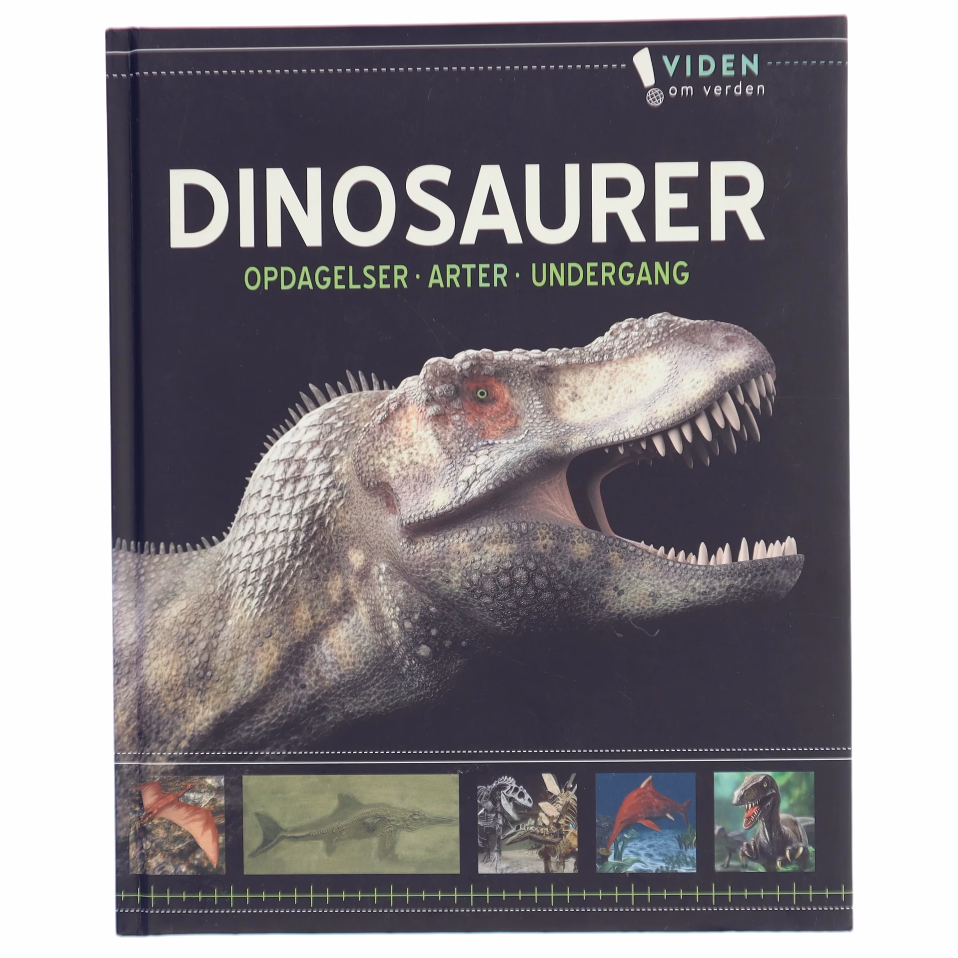 What is the big dinosaur called?