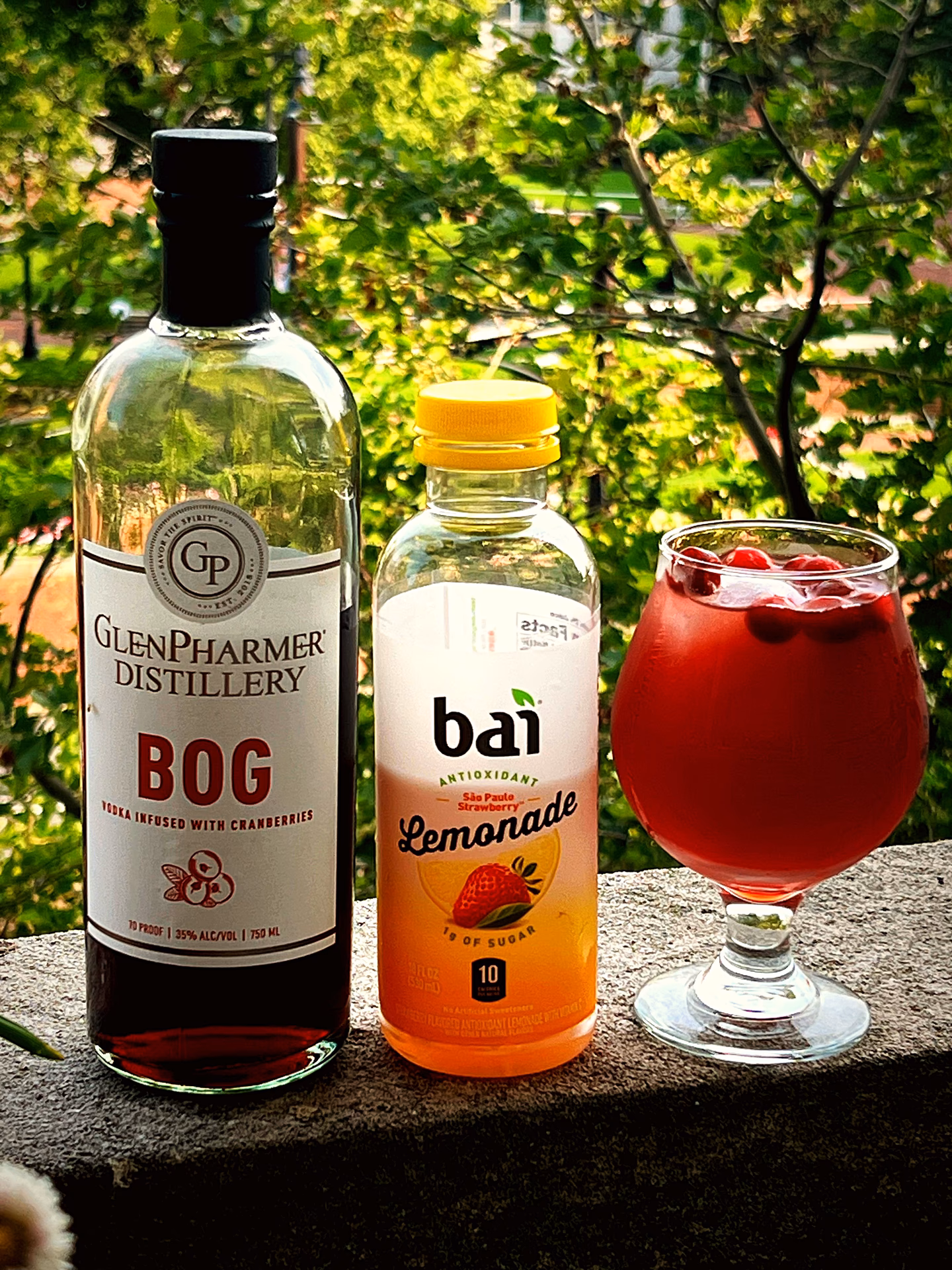 Why is it called a BORG?