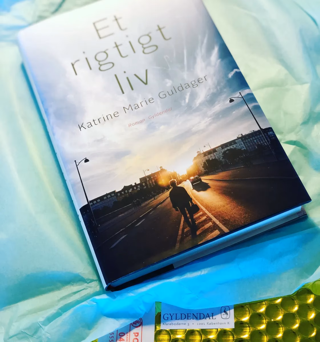 Hvad skriver Katrine Marie Guldager om?