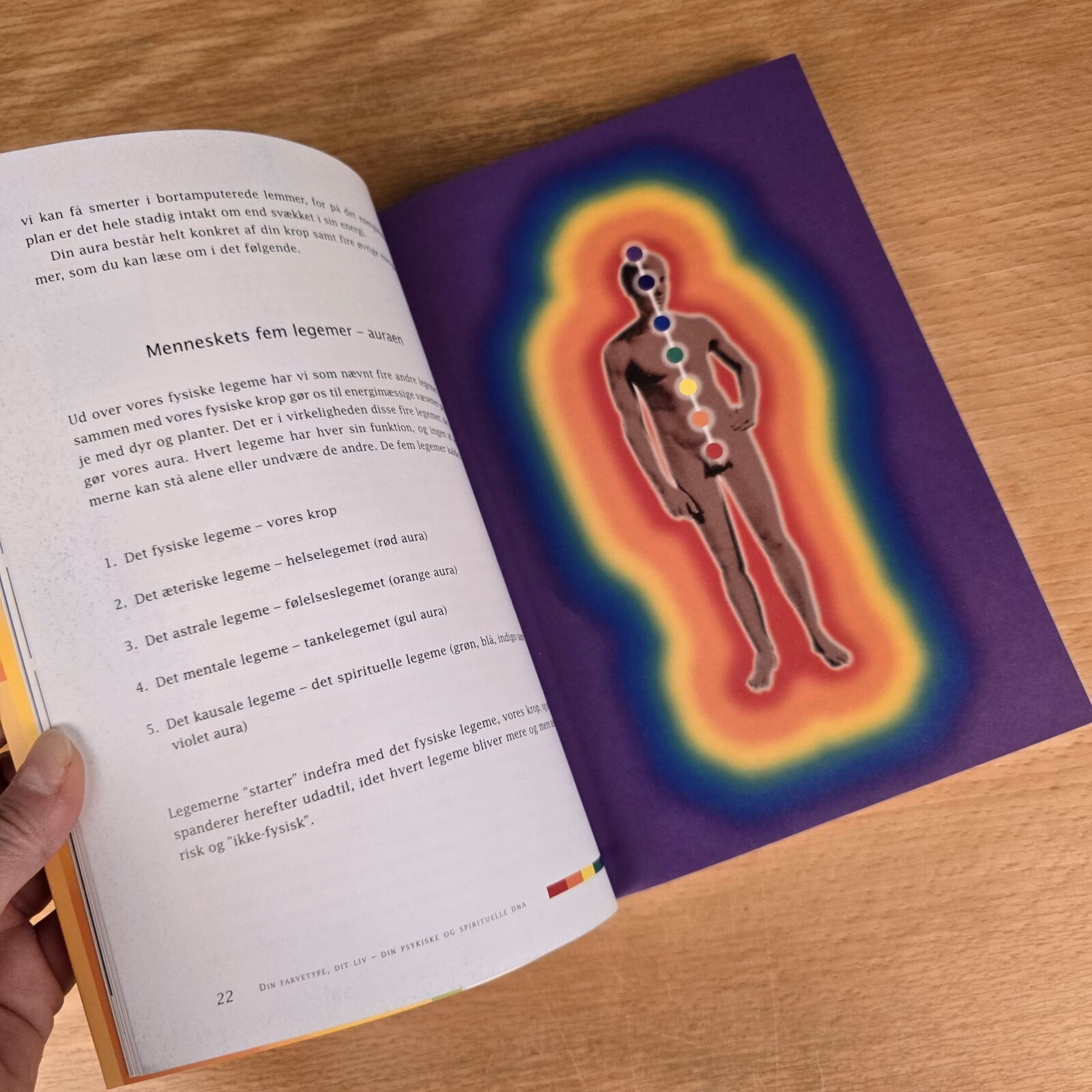 Hvad passer til karrygul?