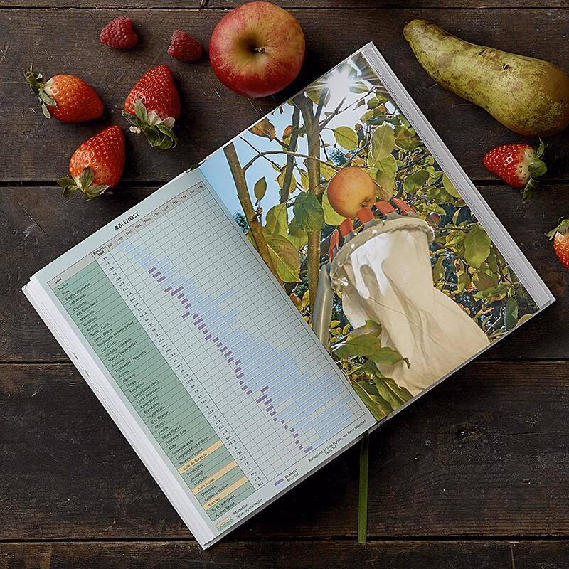 Er der forskel på frugt og bær?