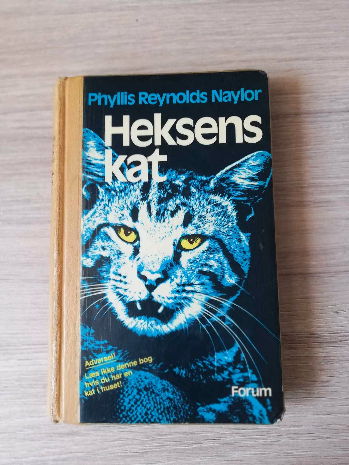 Hvad hedder heksens kat?