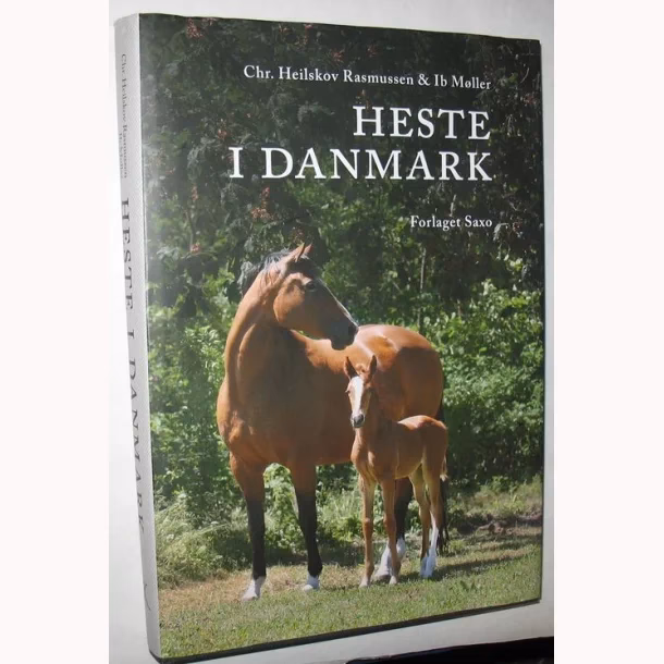 Hvor meget koster en hest i Danmark?