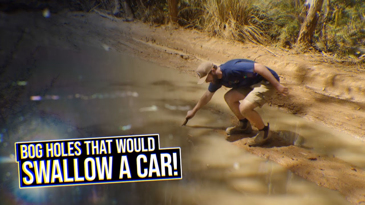 Why is a bathroom called a bog?