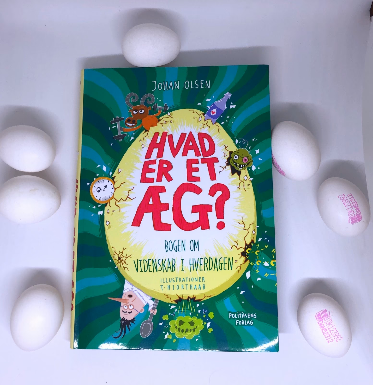 Hvad er et æg opbygget af?