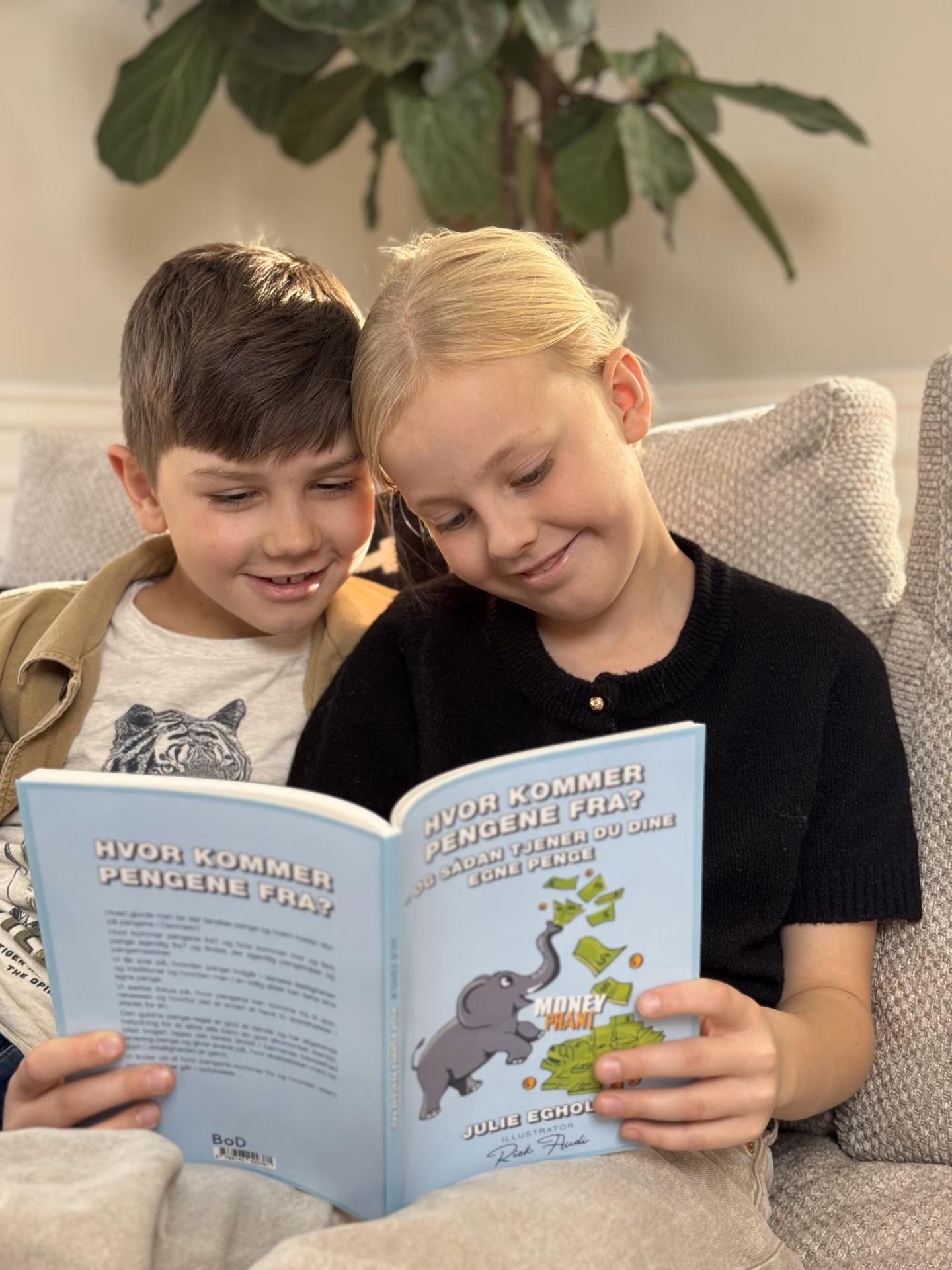 Hvor kommer pengene fra?