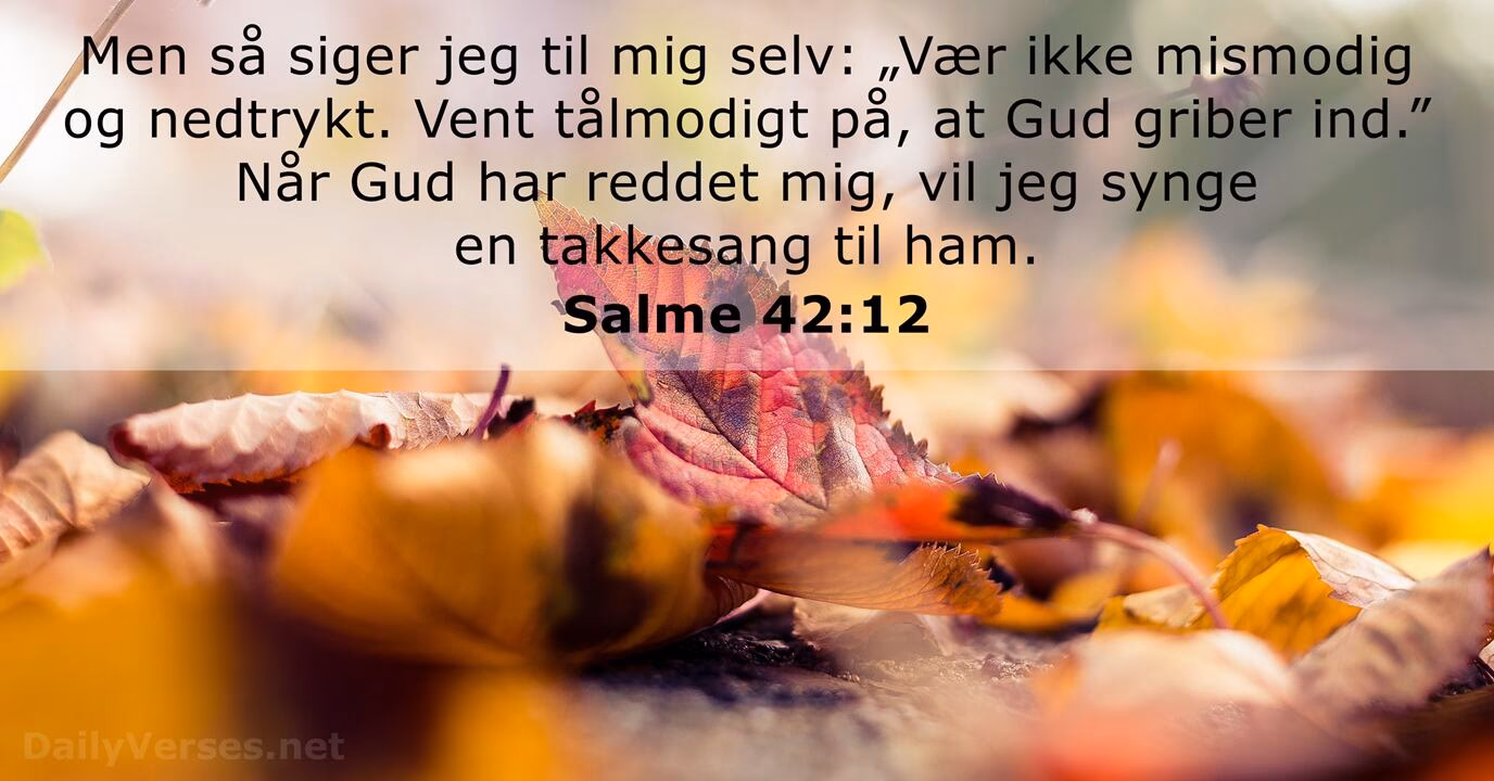 Hvorfor tillader Gud lidelse?