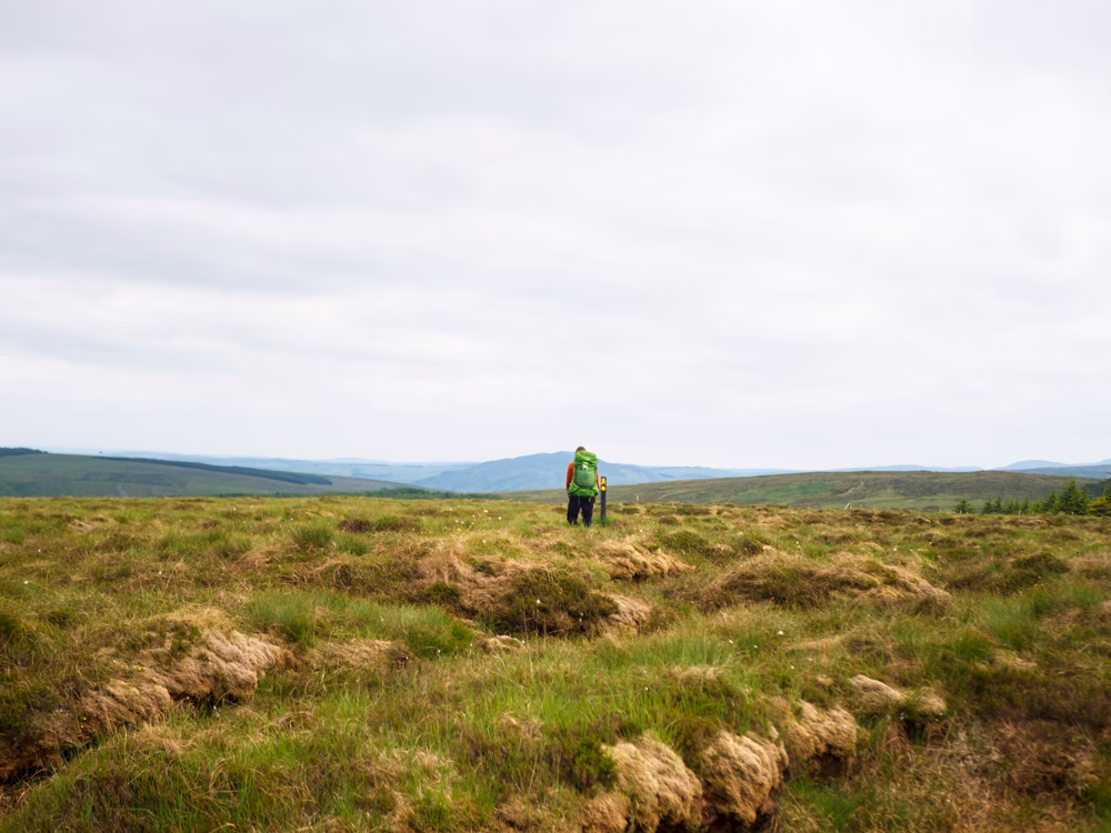 What does the name bog mean?
