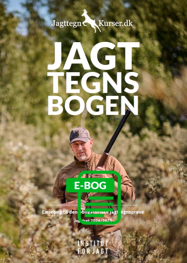 Hvad betyder ordet jagt?