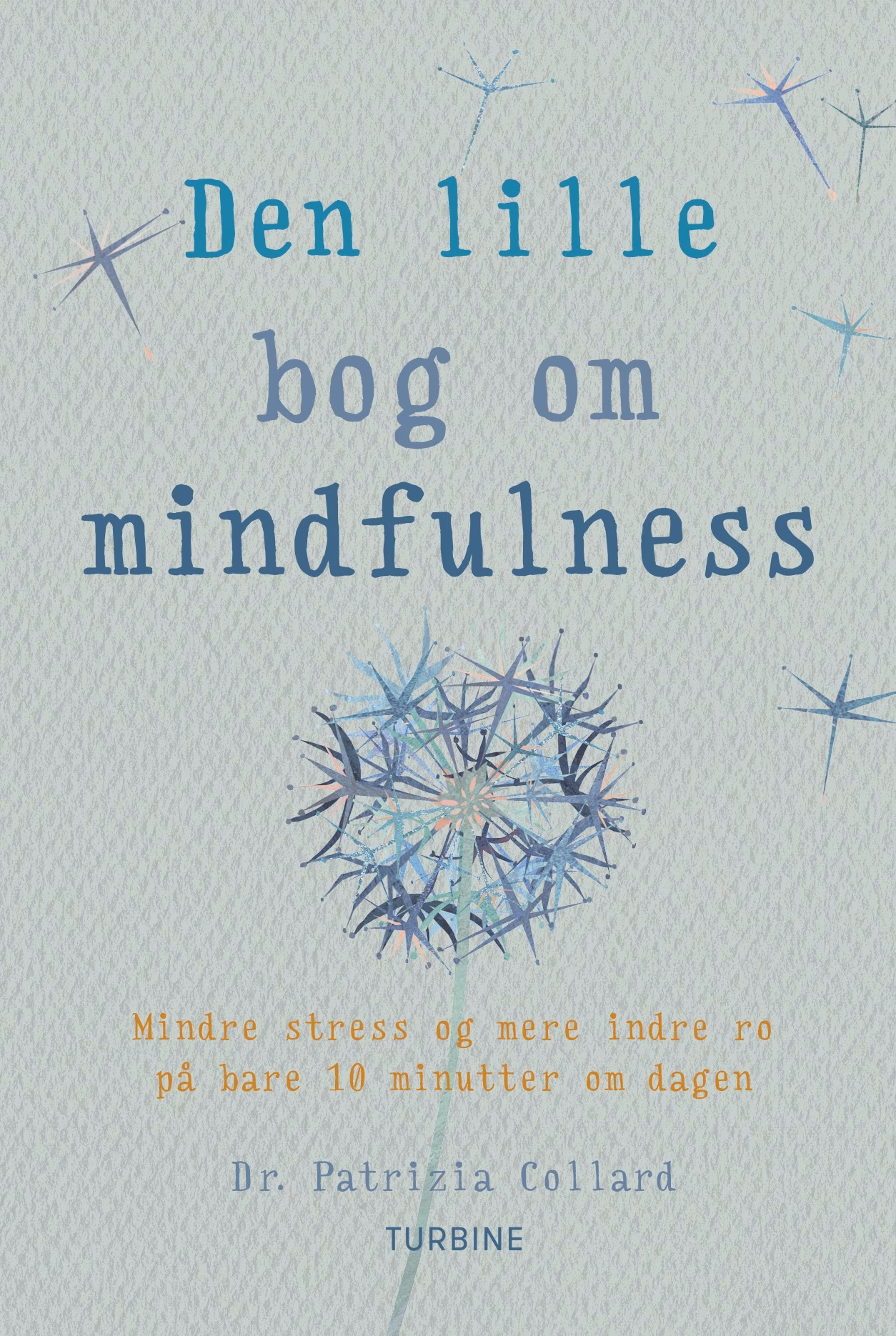 What are the 5 C's of mindfulness?