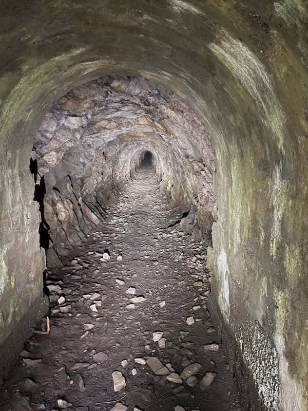 Is there a doge miner 1?