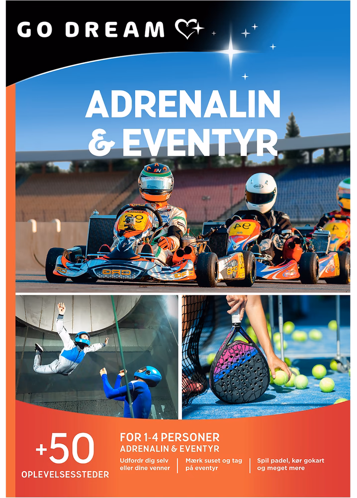 Hvordan aktiverer man GO DREAM?