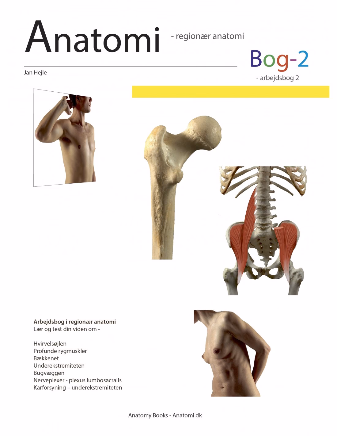 Hvordan lærer jeg bedst anatomi?