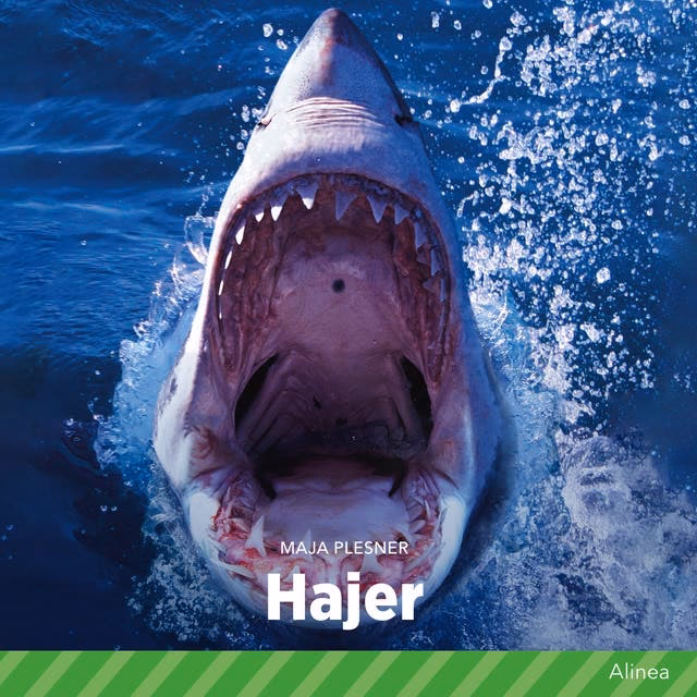 Hvilken haj spiser flest mennesker?