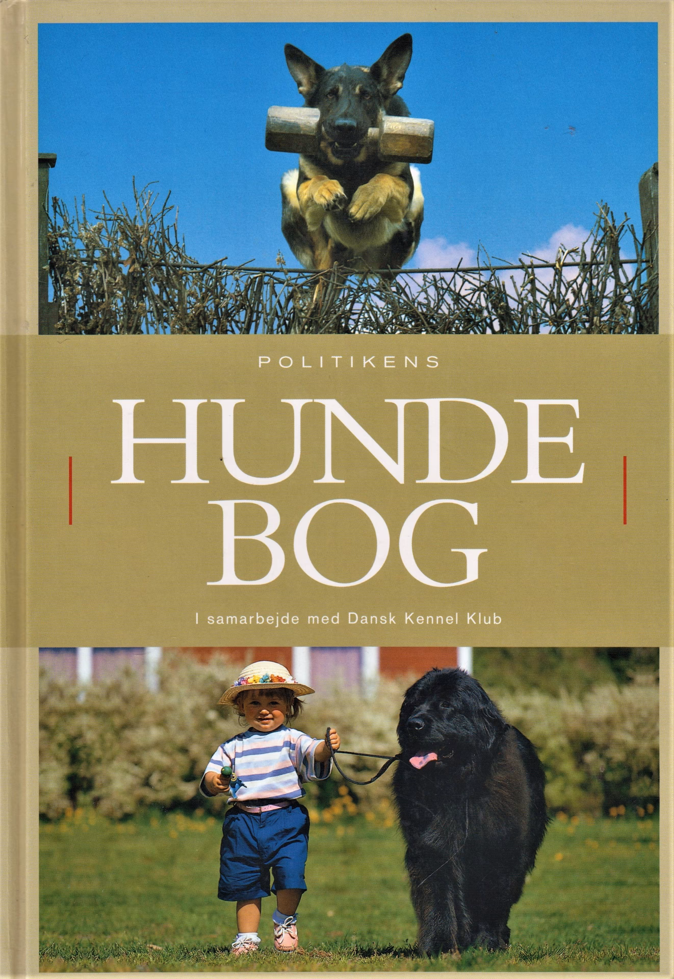 Hvad er den nemmeste hunderace?