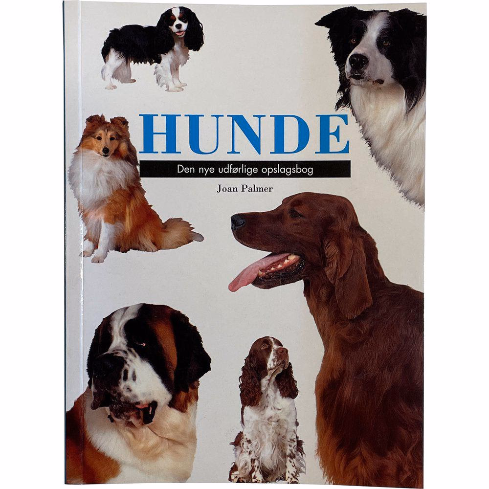 Hvilken hunderace er mest rolig?