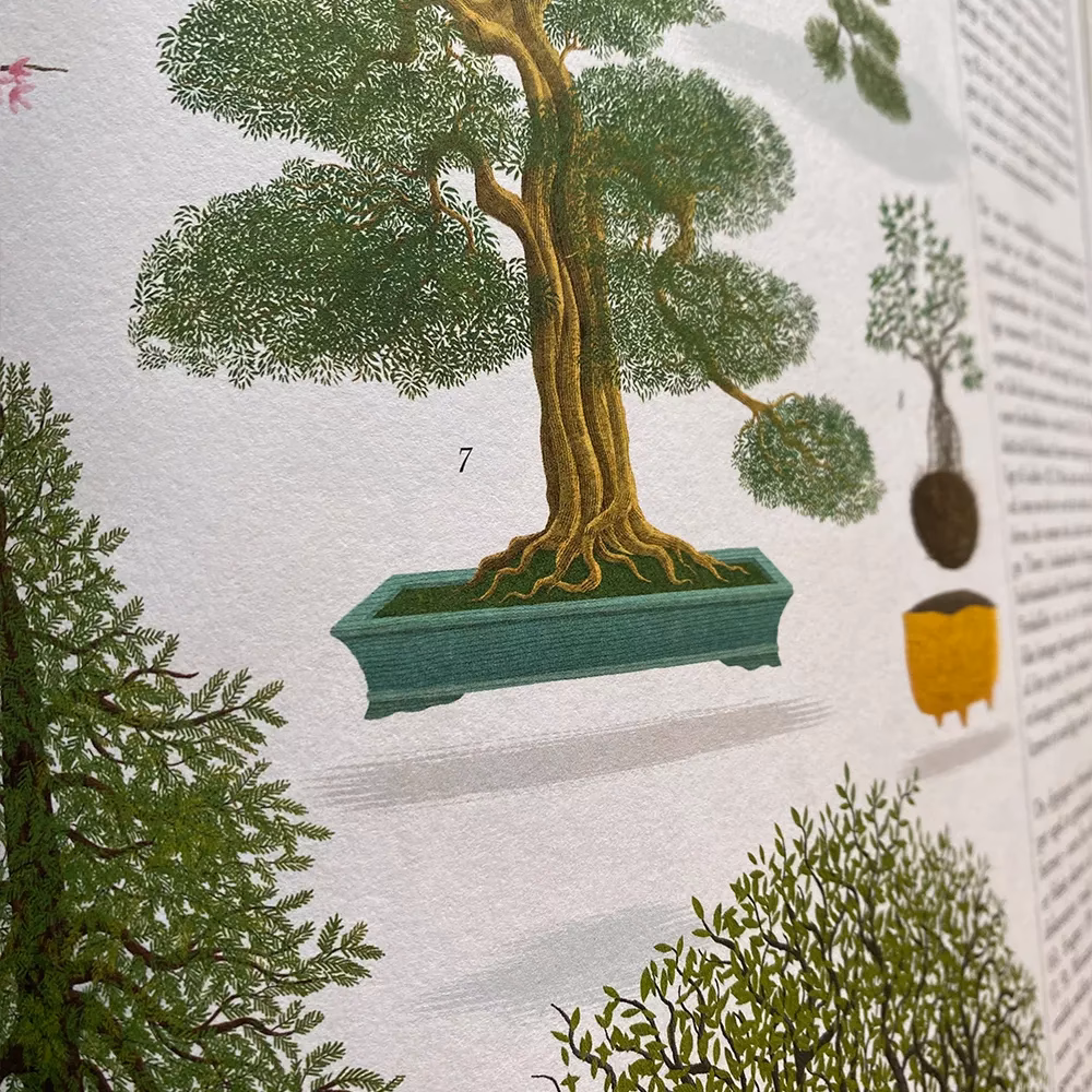 Hvordan foregår forplantningen hos træer?