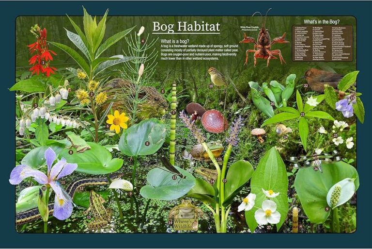 din-komplette-guide-til-plakater-boghandel