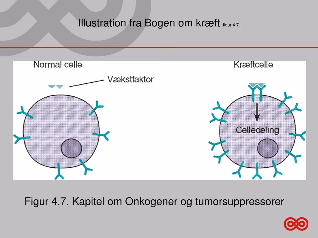 Hvad er ikke-ondartet kræft?