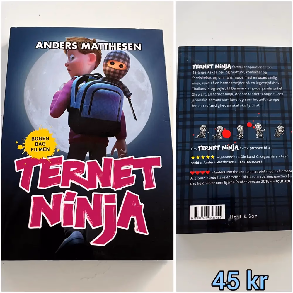 When did Ternet Ninja 2 come out?