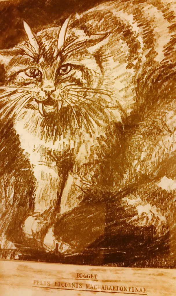 What kind of creature is a boggart?