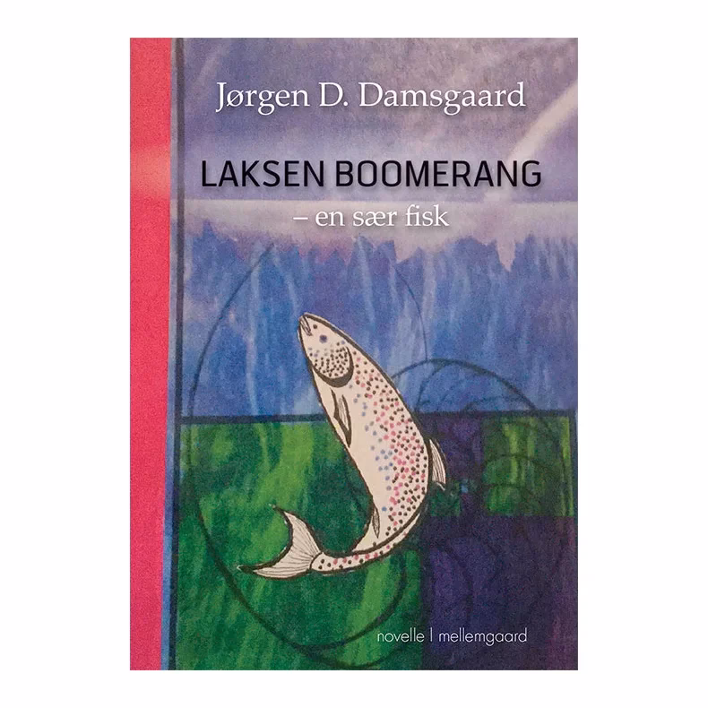 Hvorfor kommer en boomerang tilbage?