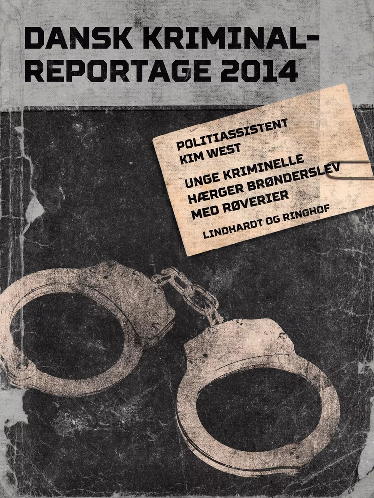 Hvad skete der i Brønderslev Sagen?