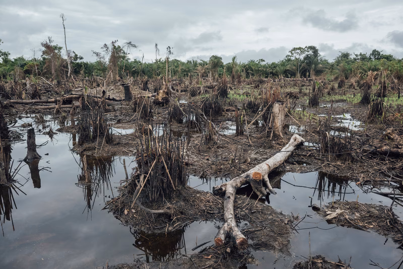 Hvad er forskellen på DR Congo og Congo?