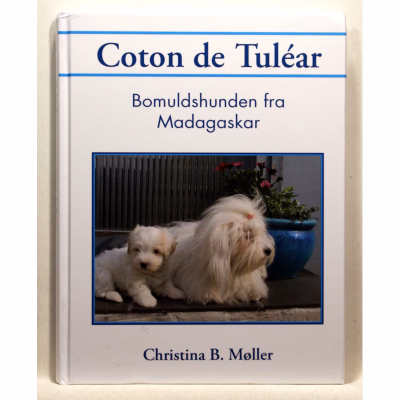 Hvor klog er en Coton de Tulear?