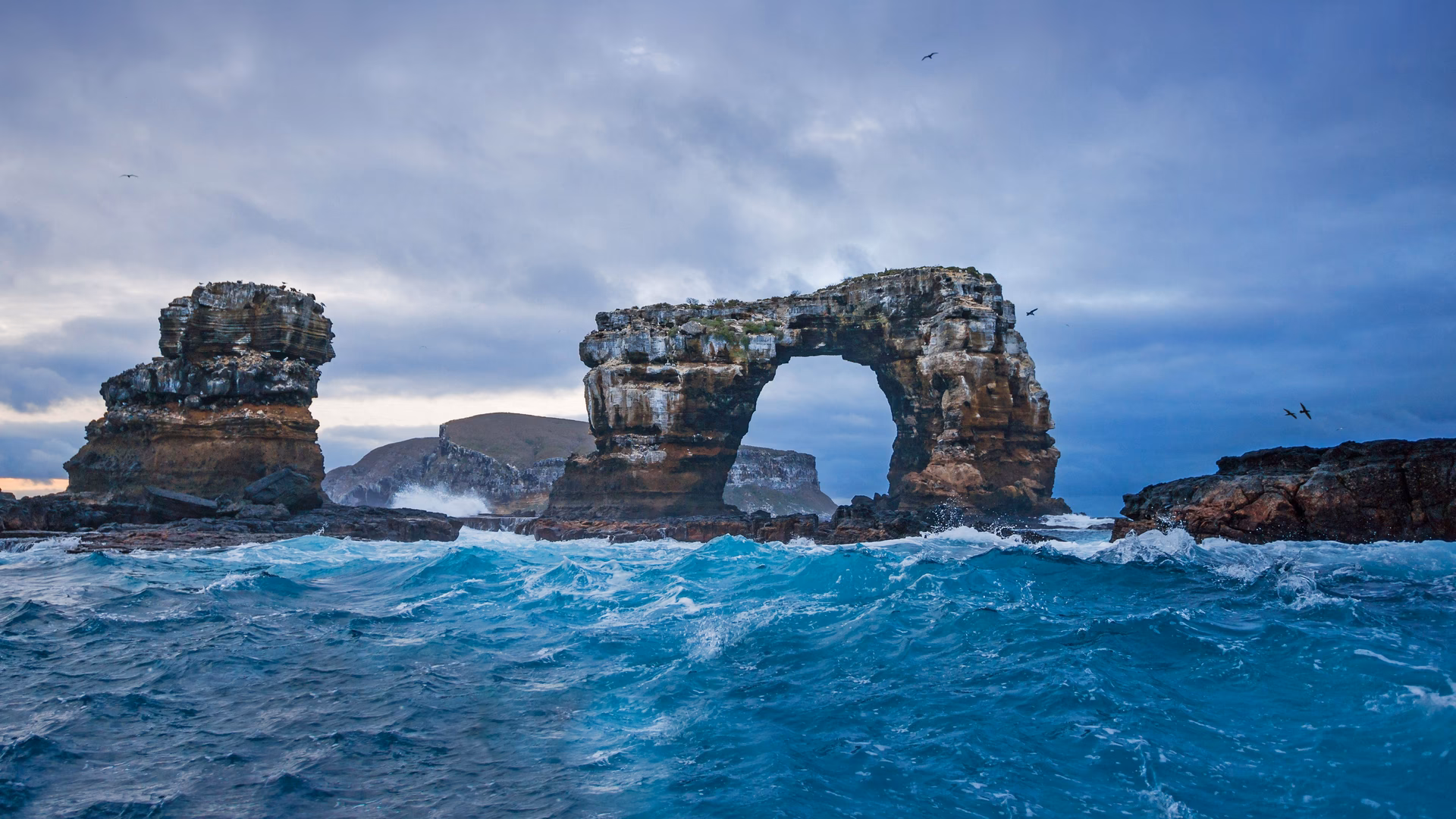 What was Darwin's theory of the Galapagos?