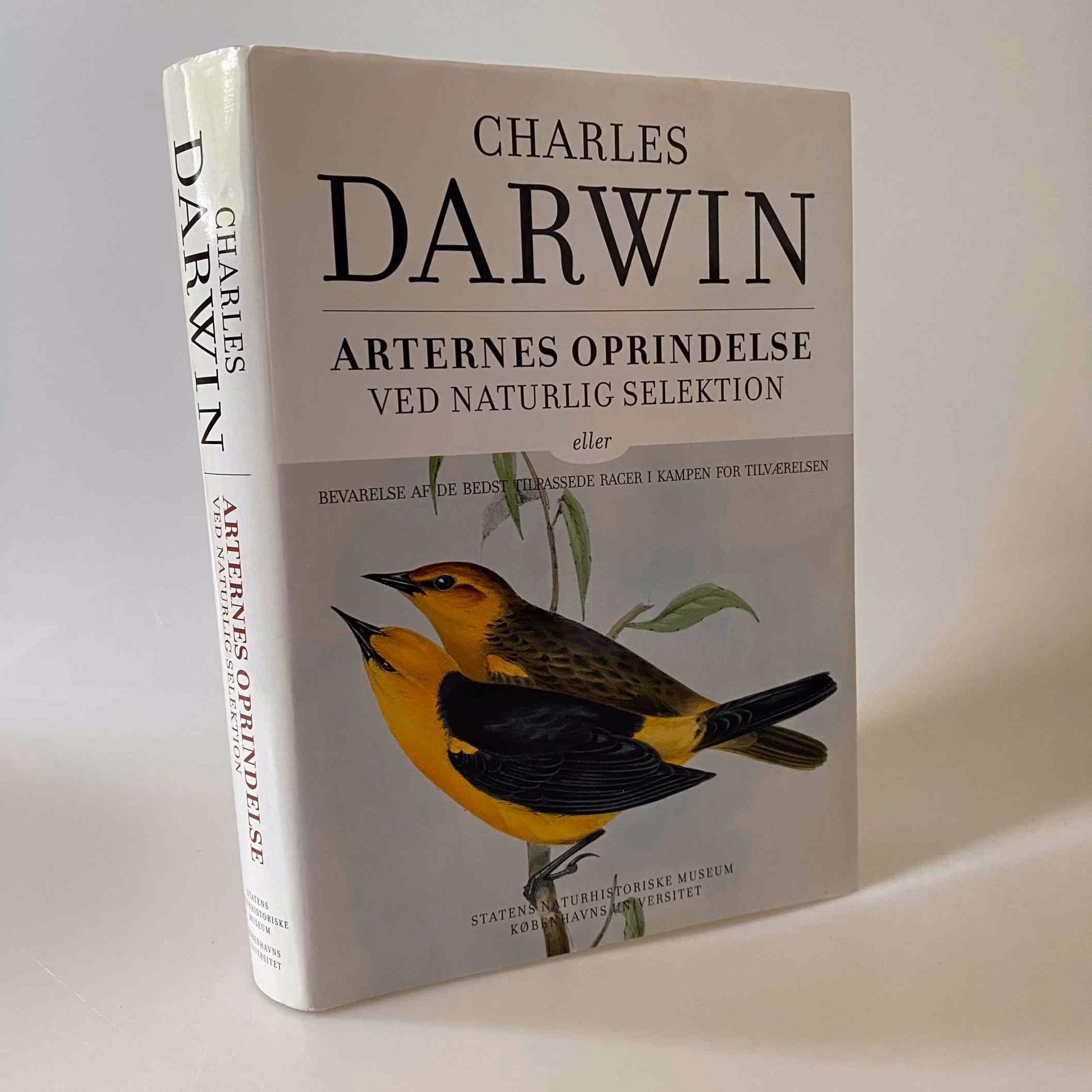 Hvordan mente Darwin, at nye arter opstod?