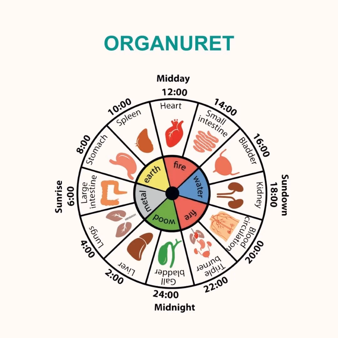 Hvad er de fem elementer?