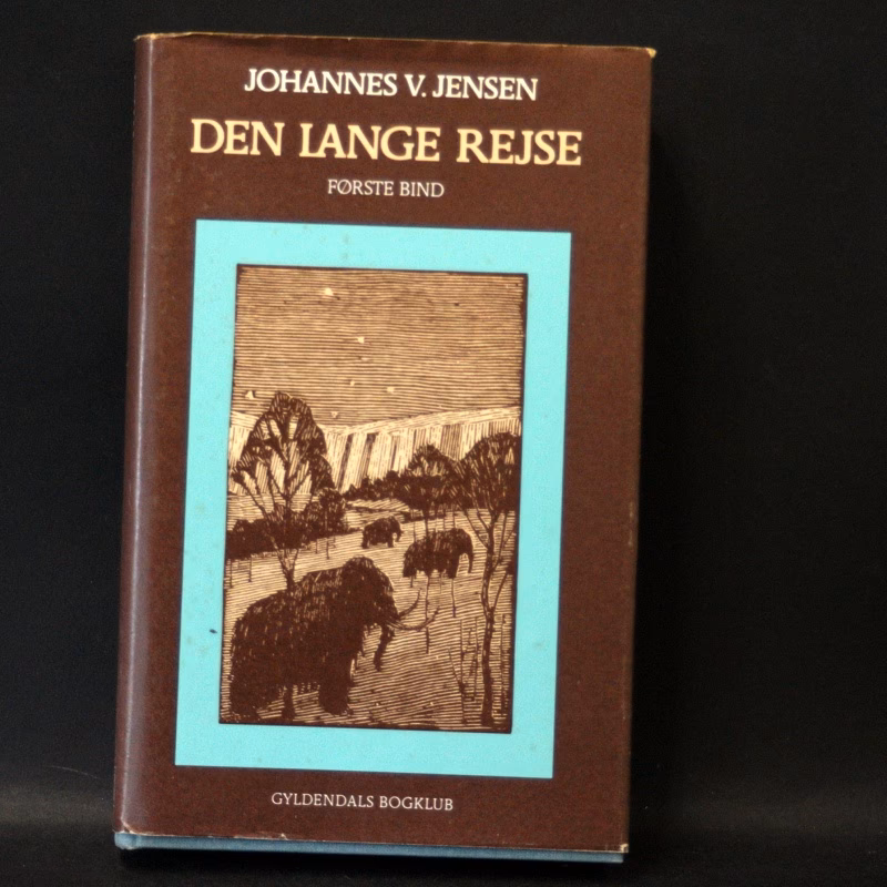 Hvad handler den lange rejse om?